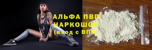хмурый Абаза