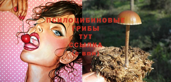 хмурый Абаза